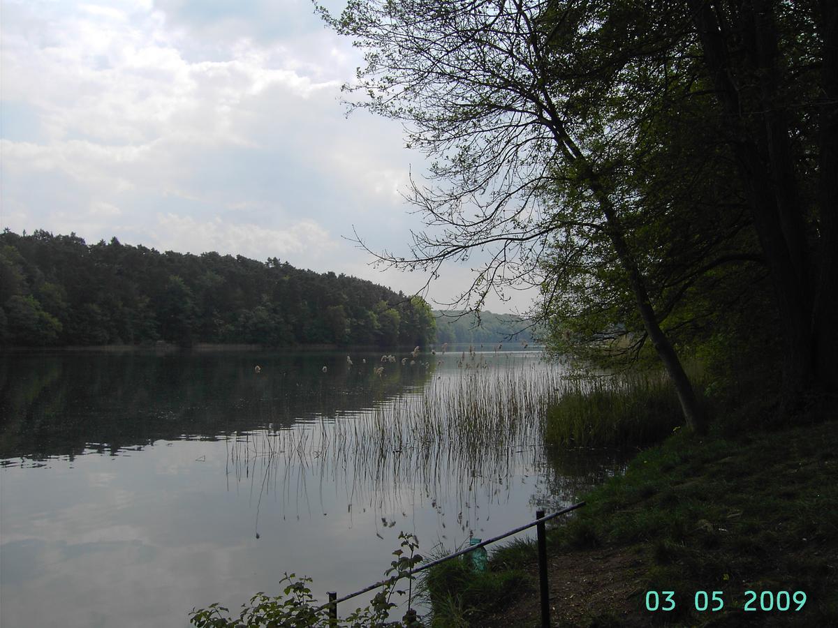 Ferienwohnung Luzinblick Feldberger Seenlandschaft Εξωτερικό φωτογραφία